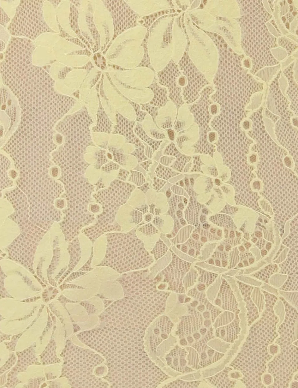 ZIMMERMANN Scoop Neck Bodysuit-Women Tops