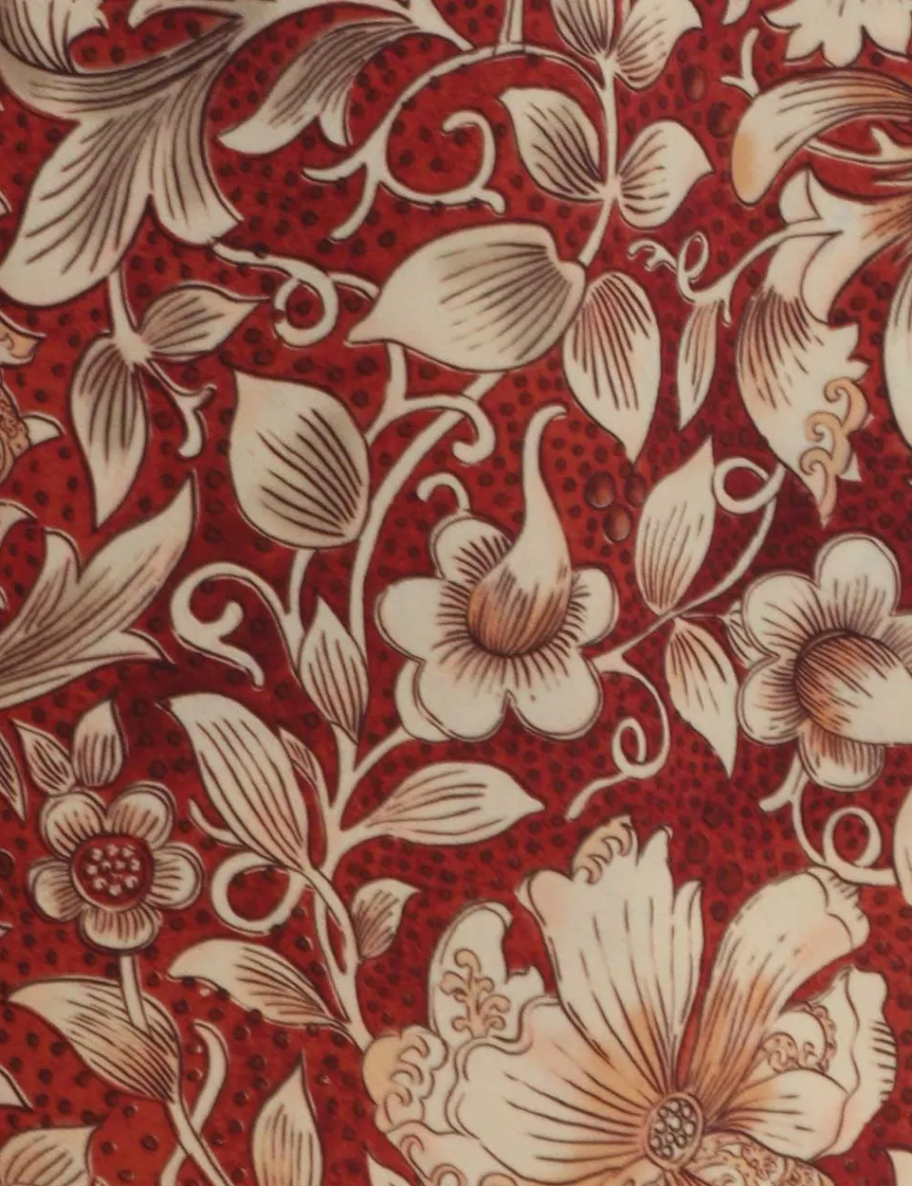 ZIMMERMANN Chintz Mens Boardshort Short-Women Boardshorts