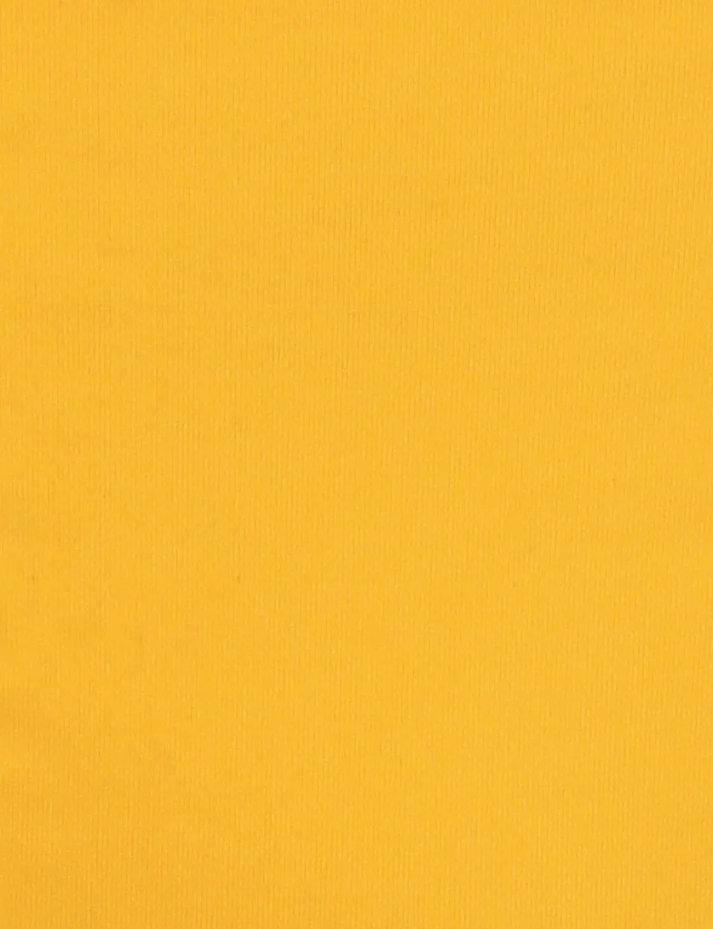 ZIMMERMANN Separates Sculpt Mini Tri Pant-Women Bikinis